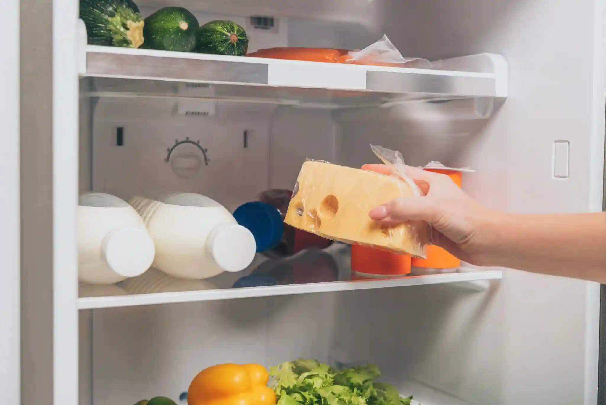 cheese shelf life